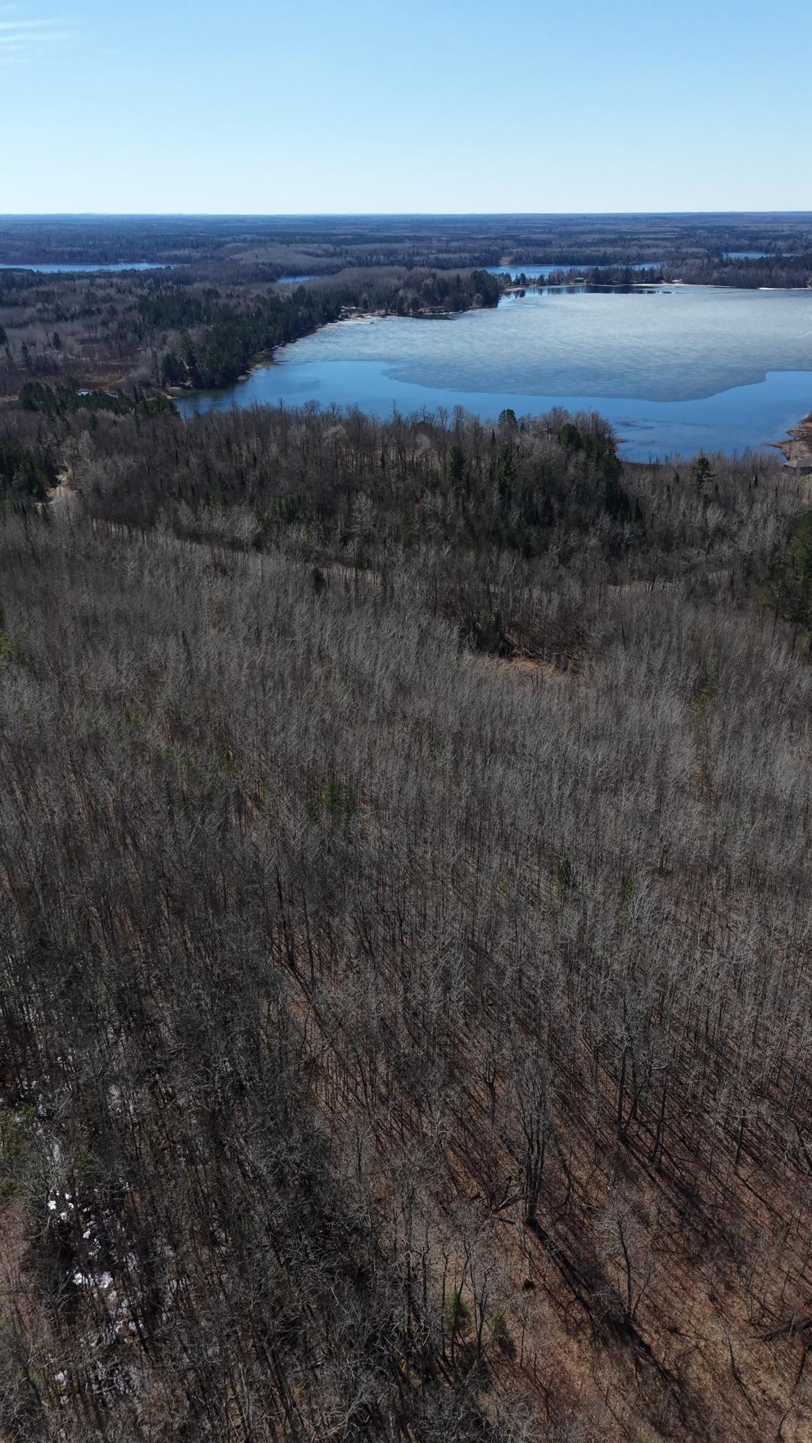 land for sale at TBD "Lot B" Co Rd 533 in Effie, MN (photo 5 of 8)