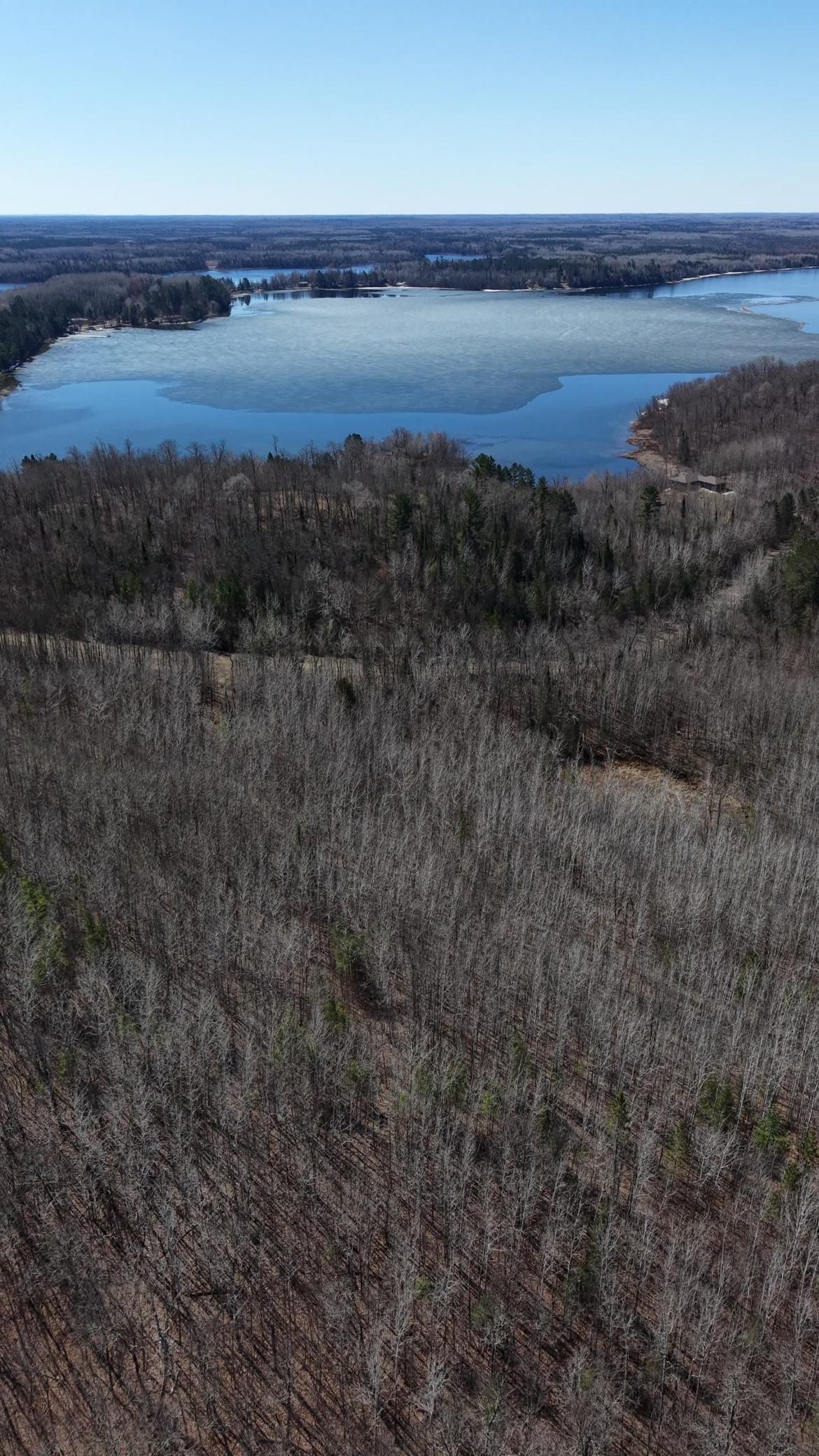 land for sale at TBD "Lot B" Co Rd 533 in Effie, MN (photo 6 of 8)