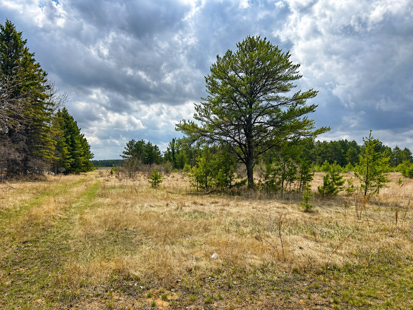 TBD 8th Street W, Park Rapids MN 56470 - Photo 5 of 9