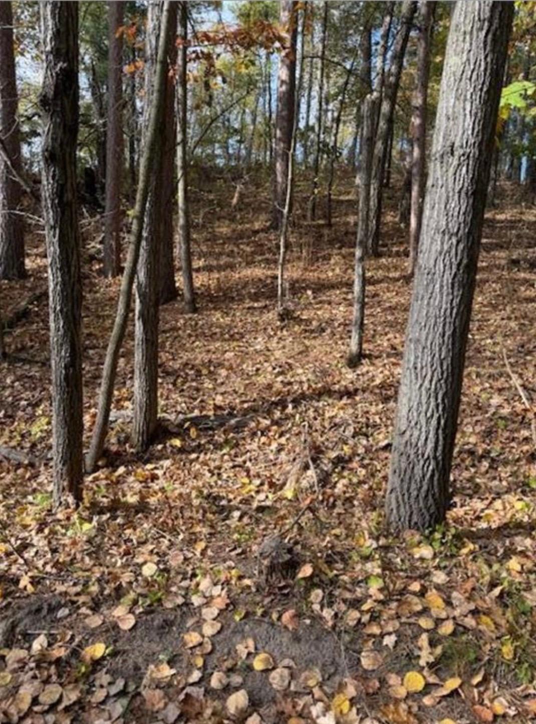 land for sale at 1380 Little John Road in Nisswa, MN (photo 3 of 8)