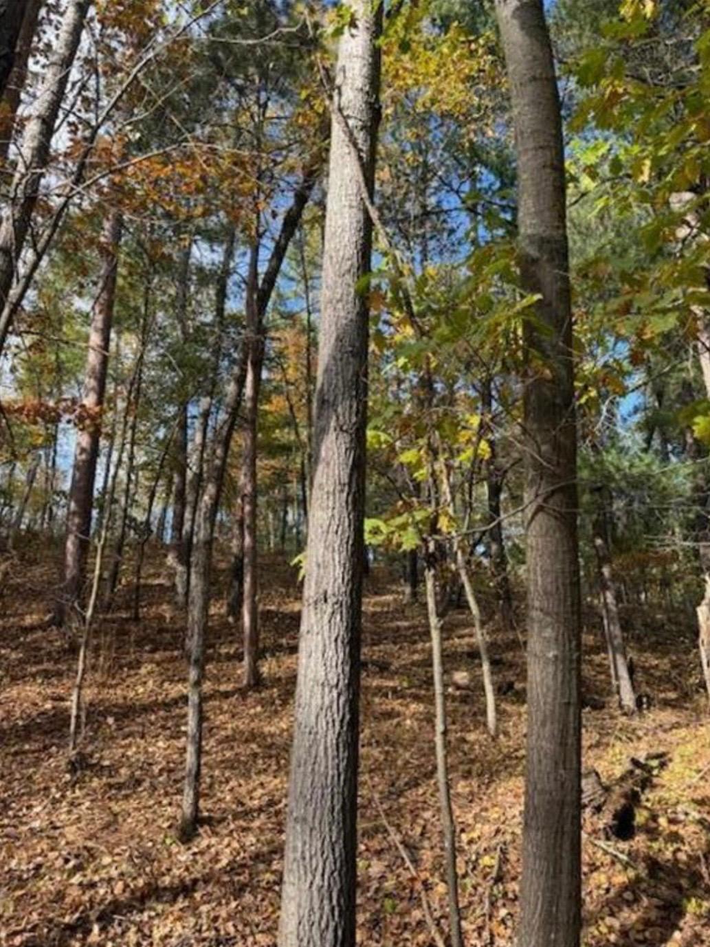 land for sale at 1380 Little John Road in Nisswa, MN (photo 5 of 8)