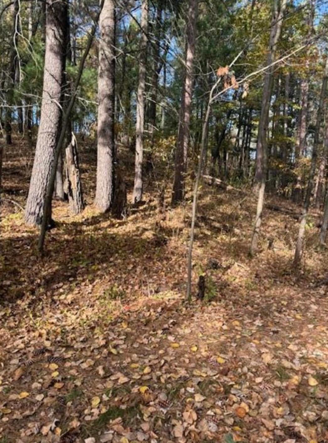 land for sale at 1380 Little John Road in Nisswa, MN (photo 7 of 8)