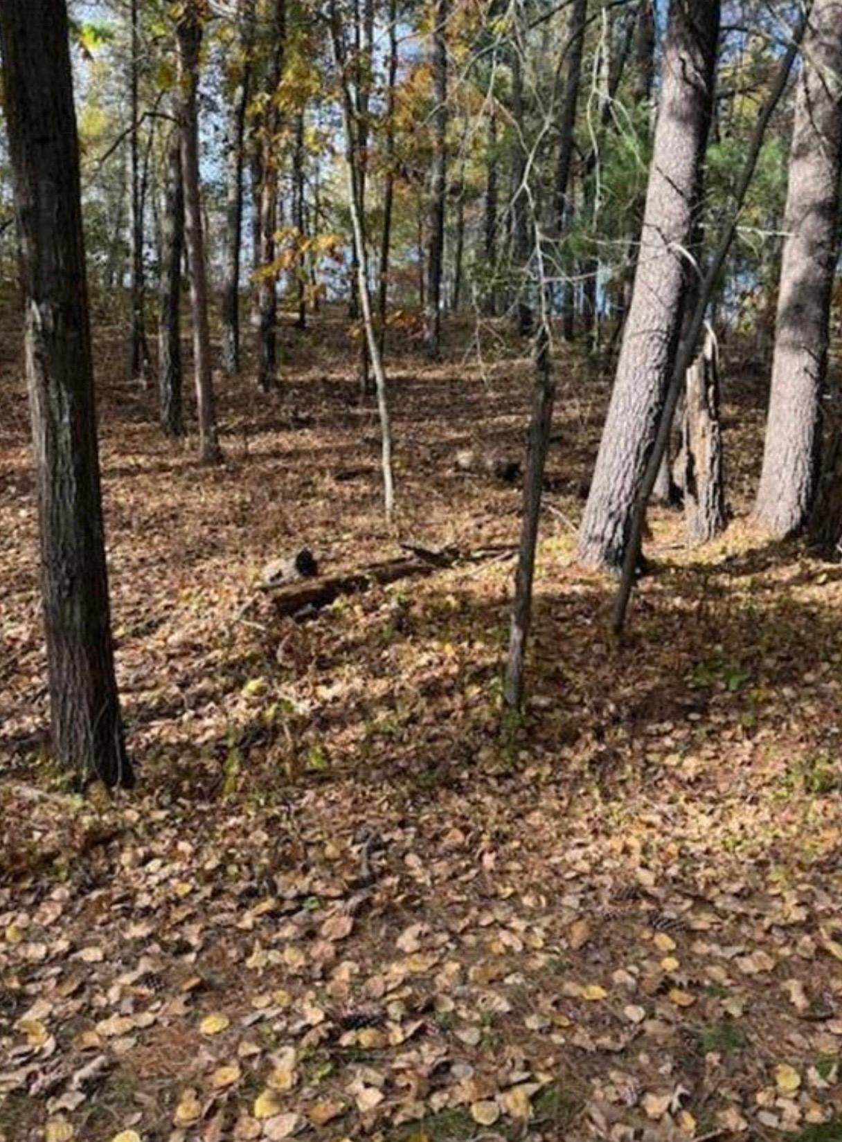land for sale at 1380 Little John Road in Nisswa, MN (photo 8 of 8)