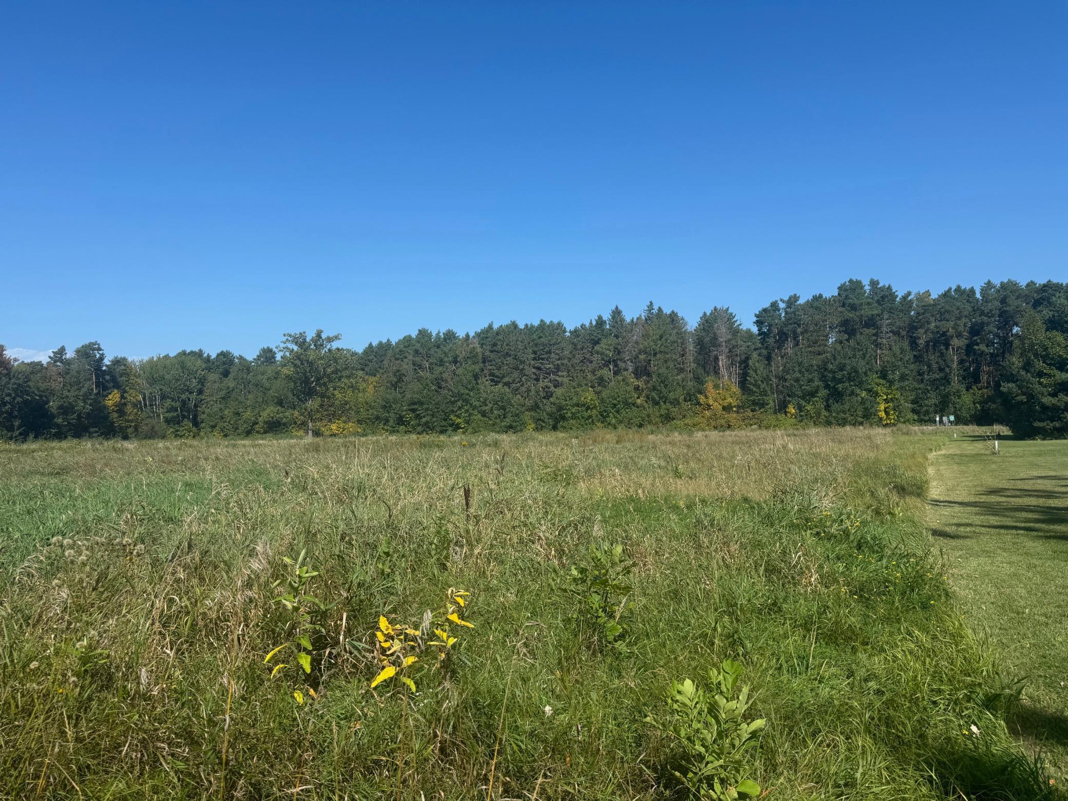 land for sale at TBD Lilac Drive in Garrison, MN (photo 5 of 5)