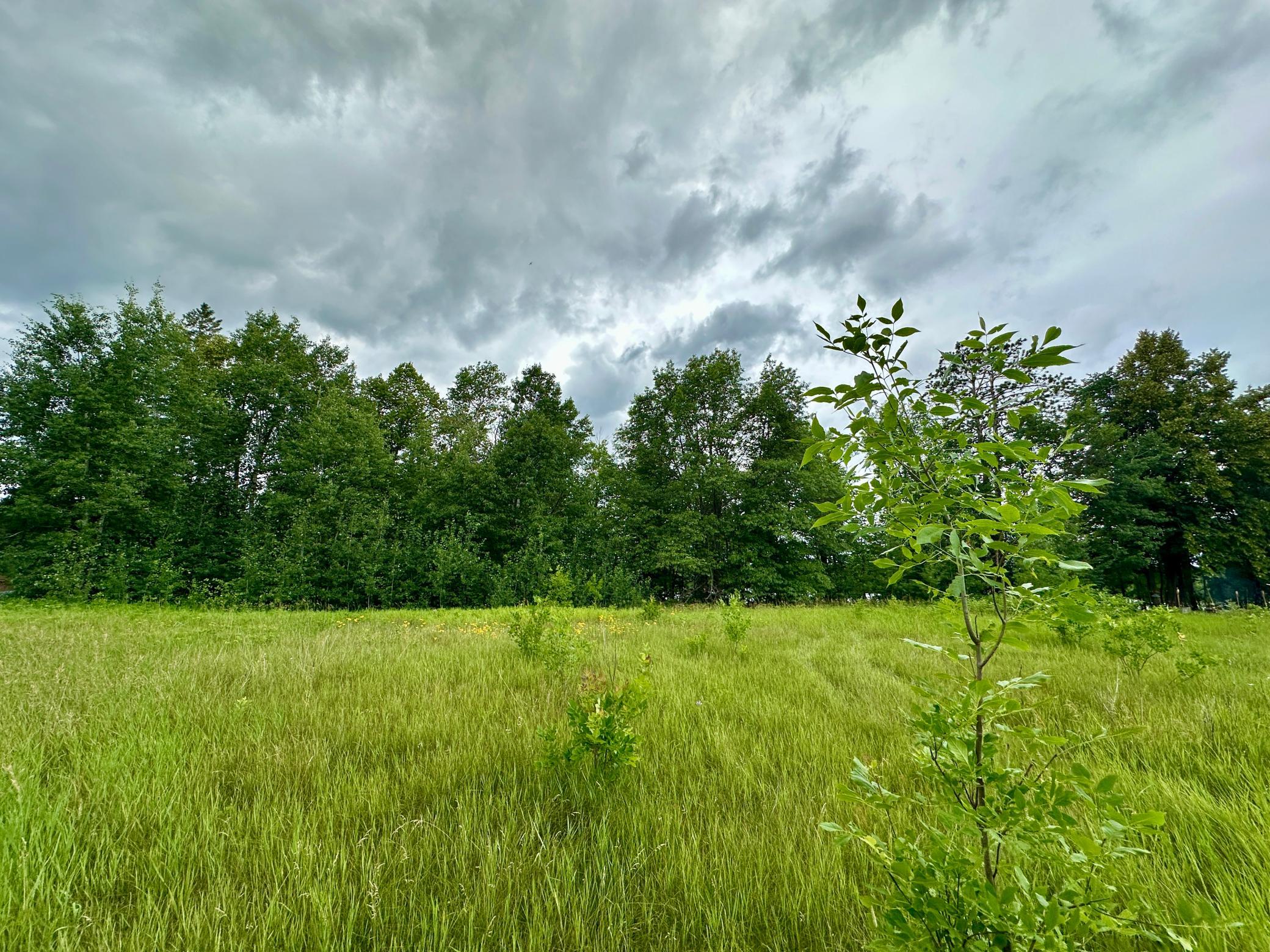 land for sale at Lot 11 Opah's Drive in Aitkin, MN (photo 11 of 23)