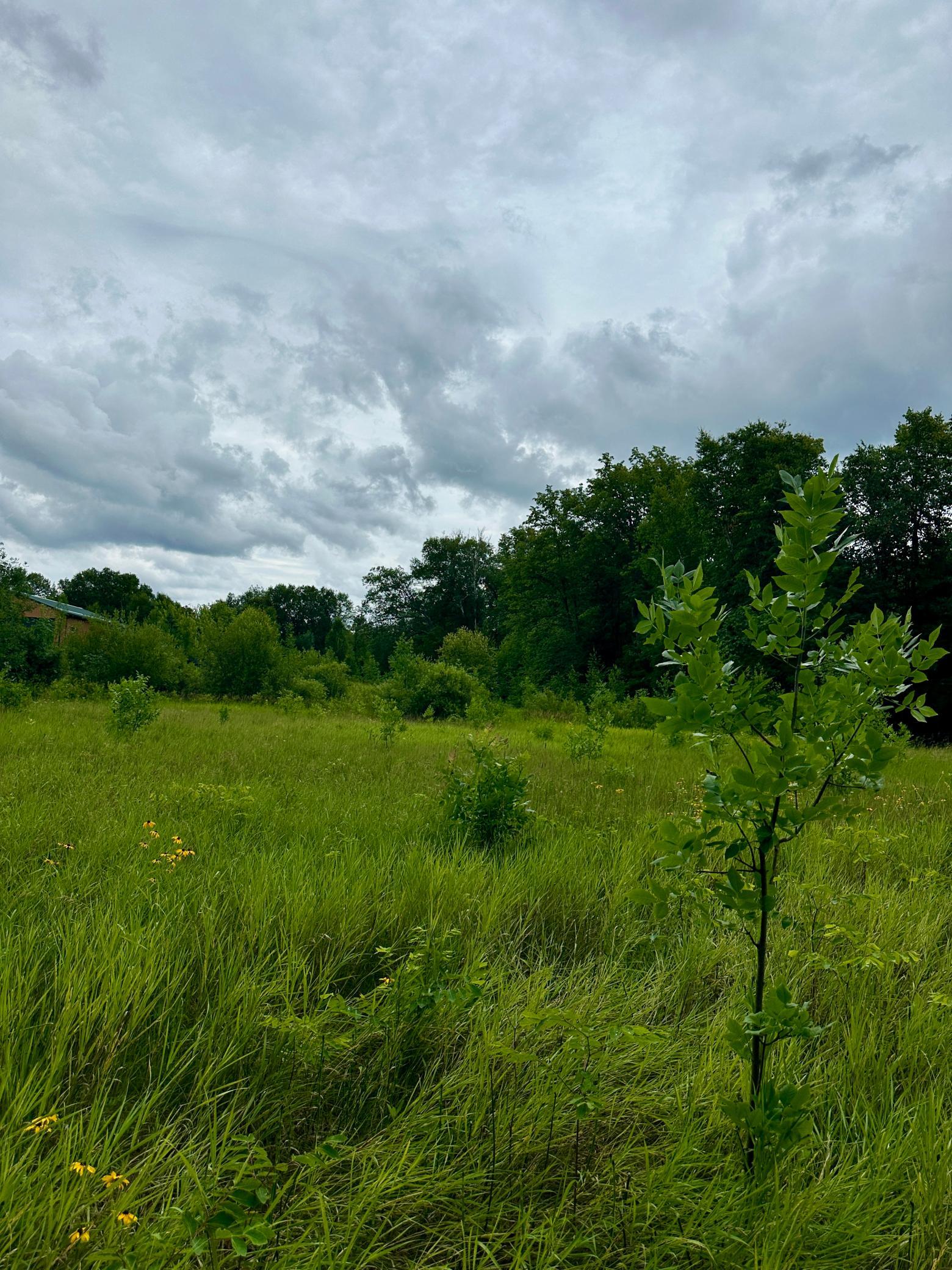 land for sale at Lot 11 Opah's Drive in Aitkin, MN (photo 14 of 23)