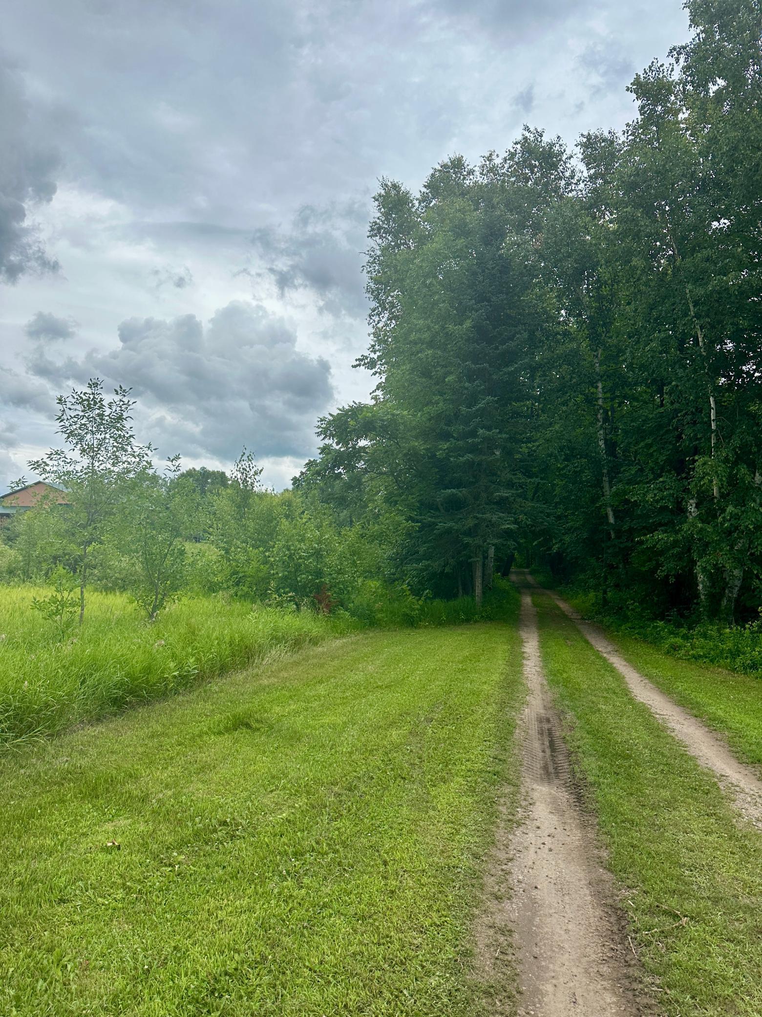 land for sale at Lot 11 Opah's Drive in Aitkin, MN (photo 15 of 23)