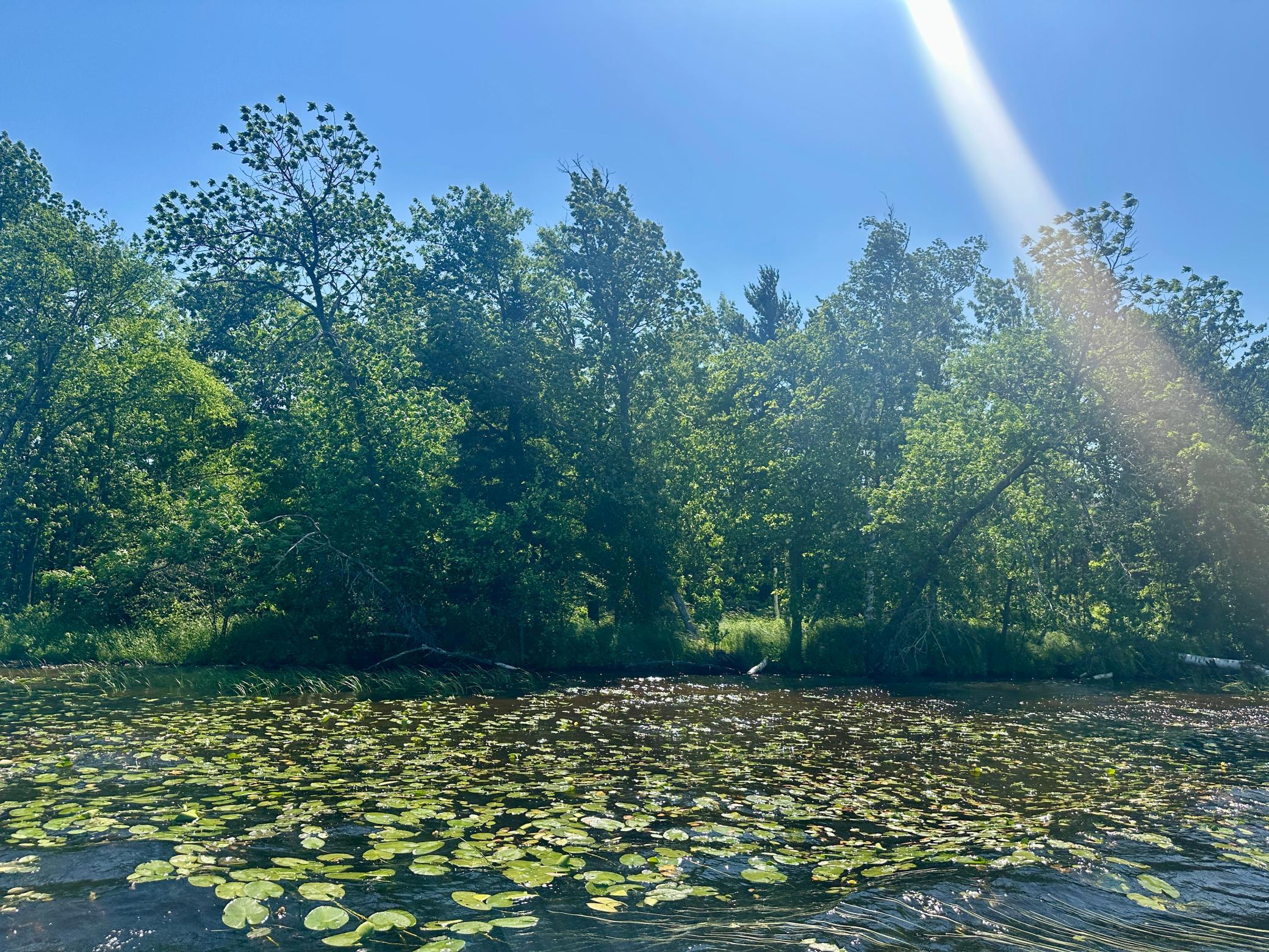land for sale at Lot 11 Opah's Drive in Aitkin, MN (photo 22 of 23)