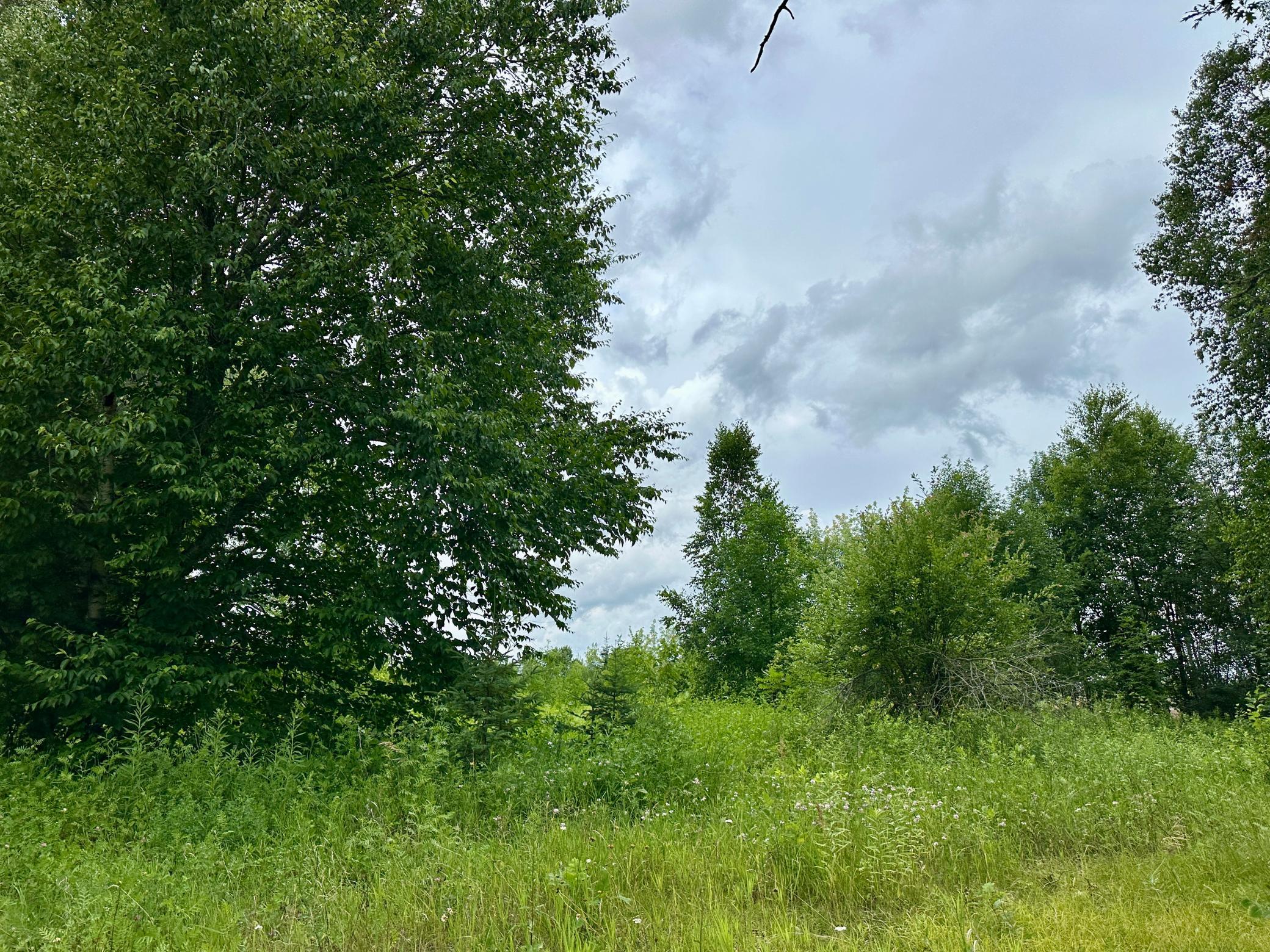 land for sale at Lot 11 Opah's Drive in Aitkin, MN (photo 7 of 23)