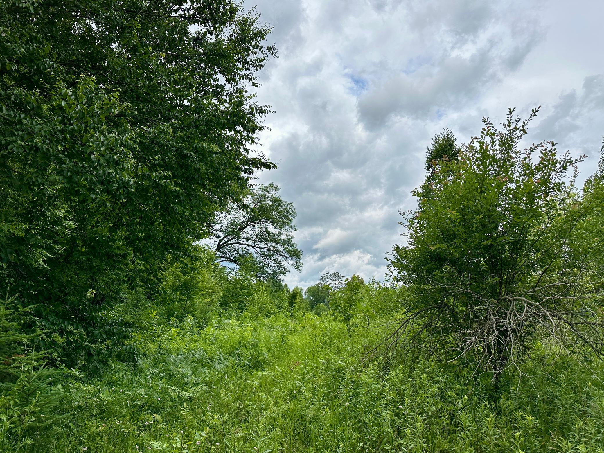 land for sale at Lot 11 Opah's Drive in Aitkin, MN (photo 8 of 23)