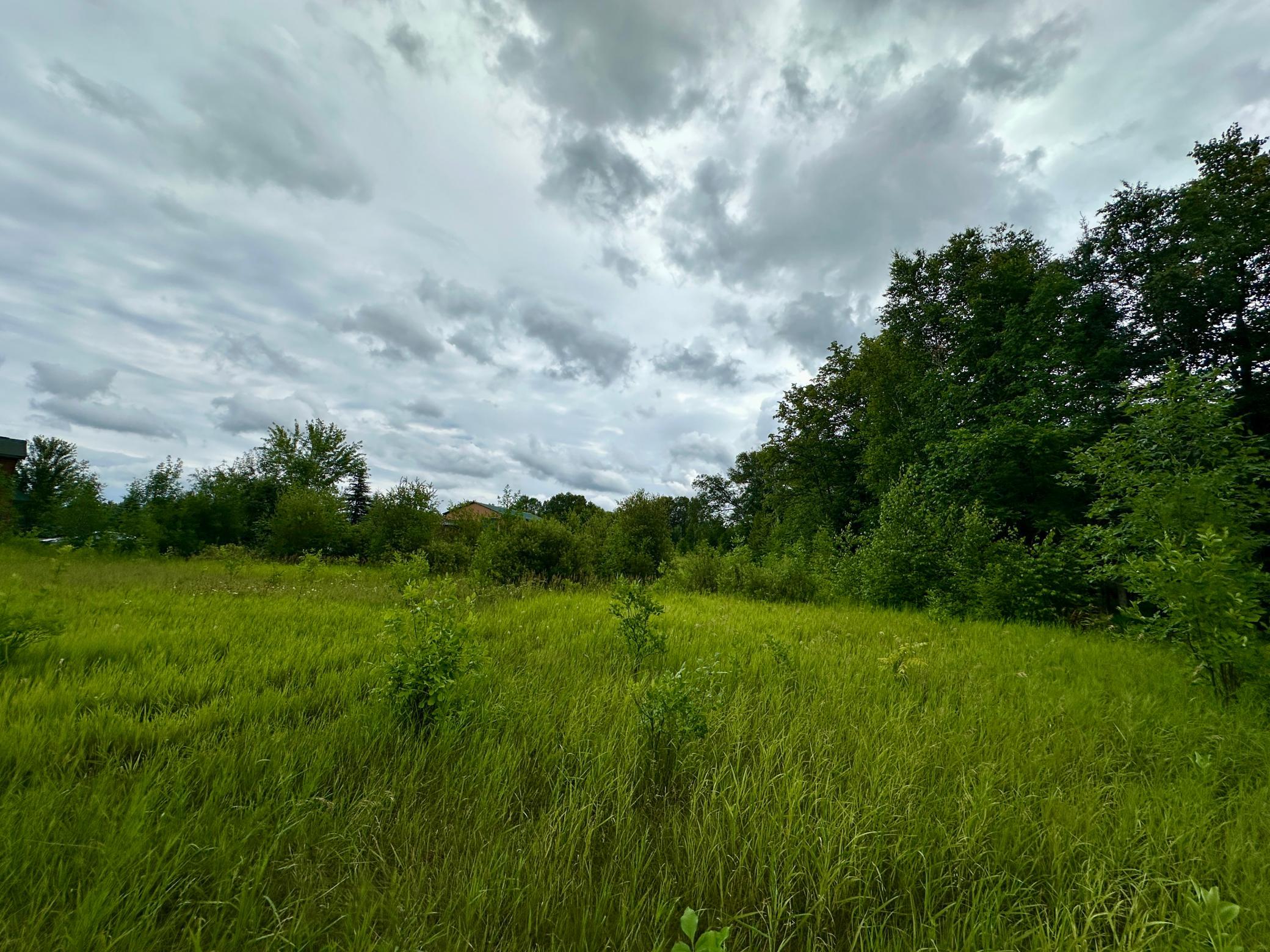 land for sale at Lot 11 Opah's Drive in Aitkin, MN (photo 10 of 23)