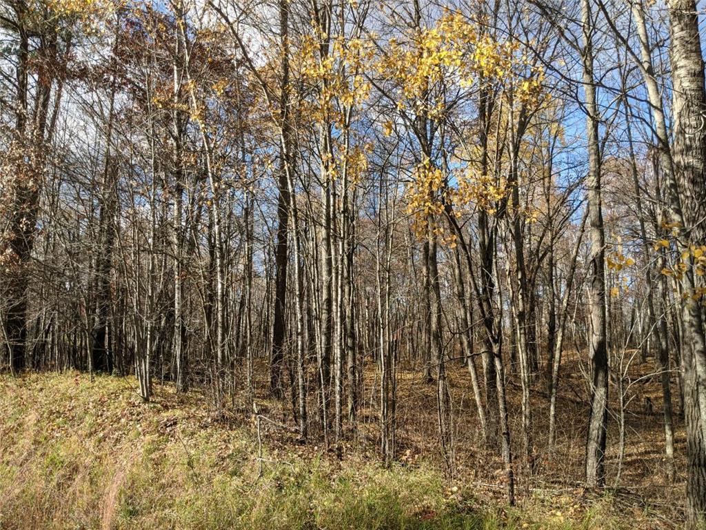 L10 B17 Green Scene Drive, Breezy Point MN 56472 - Photo 11 of 14