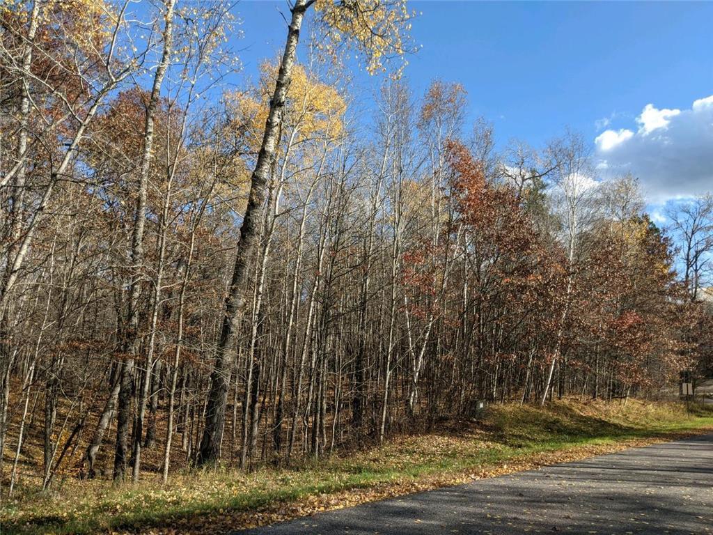L10 B17 Green Scene Drive, Breezy Point MN 56472 - Photo 3 of 14