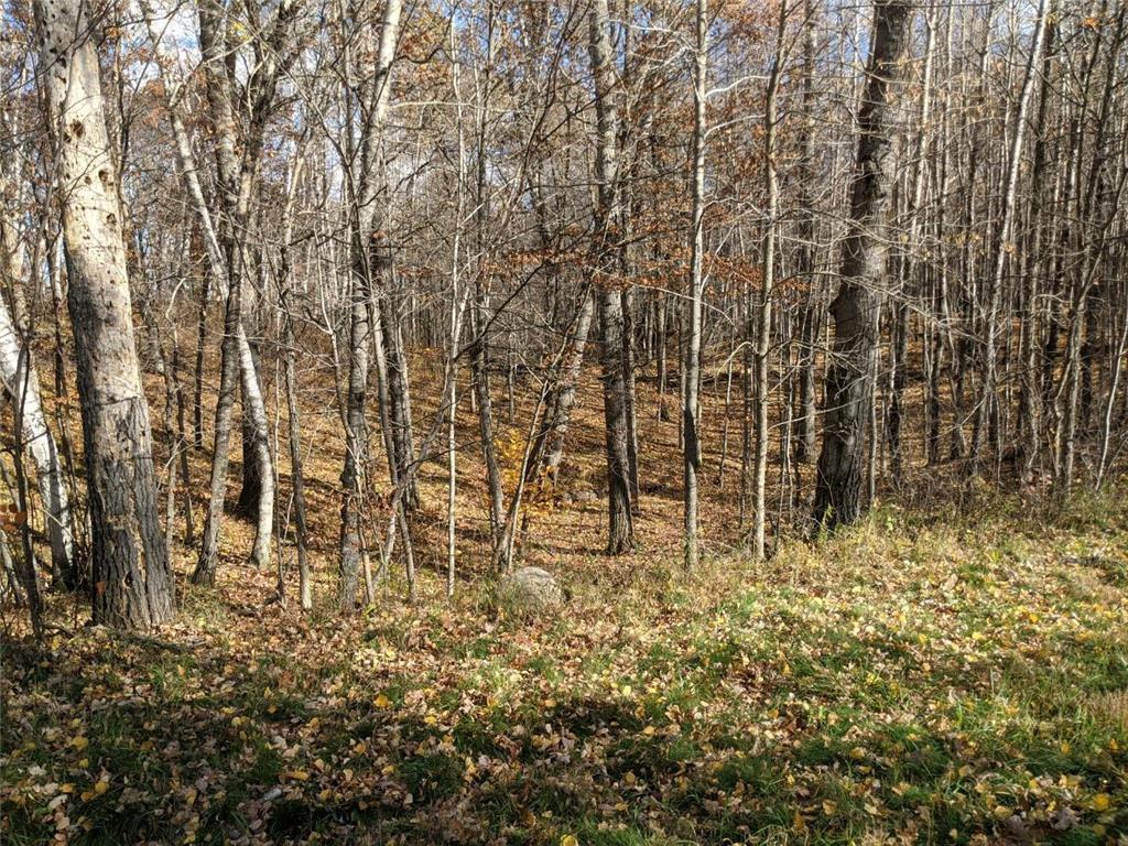 L10 B17 Green Scene Drive, Breezy Point MN 56472 - Photo 4 of 14