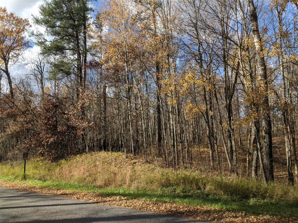 L10 B17 Green Scene Drive, Breezy Point MN 56472 - Photo 6 of 14