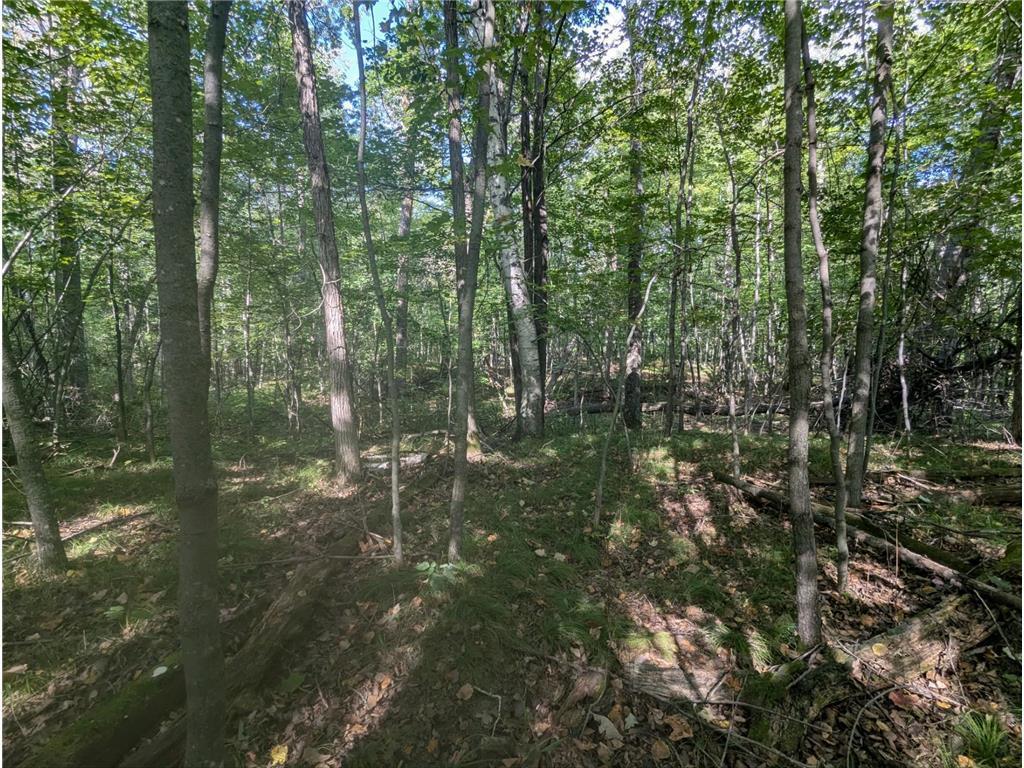 L23 B32 Shady Trail, Breezy Point MN 56472 - Photo 11 of 28