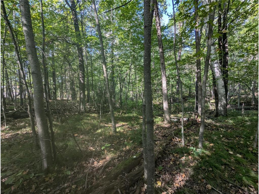 L23 B32 Shady Trail, Breezy Point MN 56472 - Photo 13 of 28