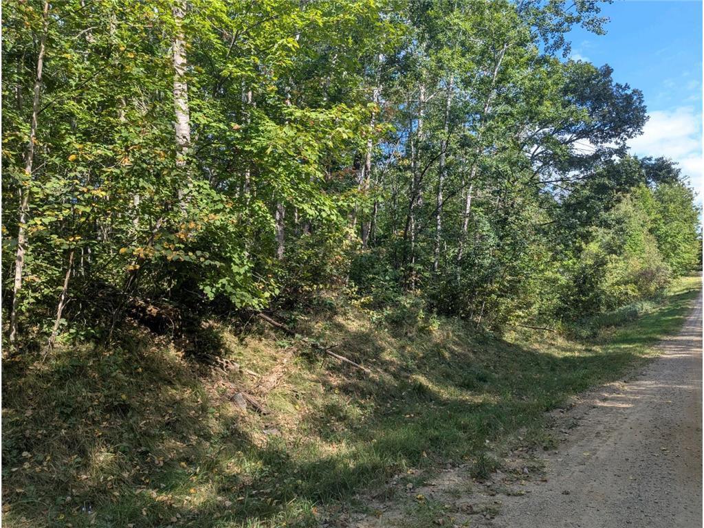 L23 B32 Shady Trail, Breezy Point MN 56472 - Photo 17 of 28
