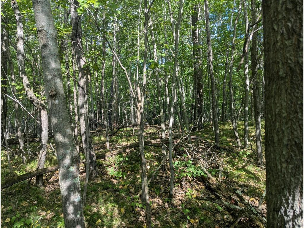 L23 B32 Shady Trail, Breezy Point MN 56472 - Photo 19 of 28