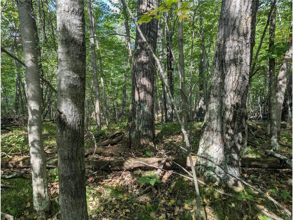 L23 B32 Shady Trail, Breezy Point MN 56472 - Photo 20 of 28