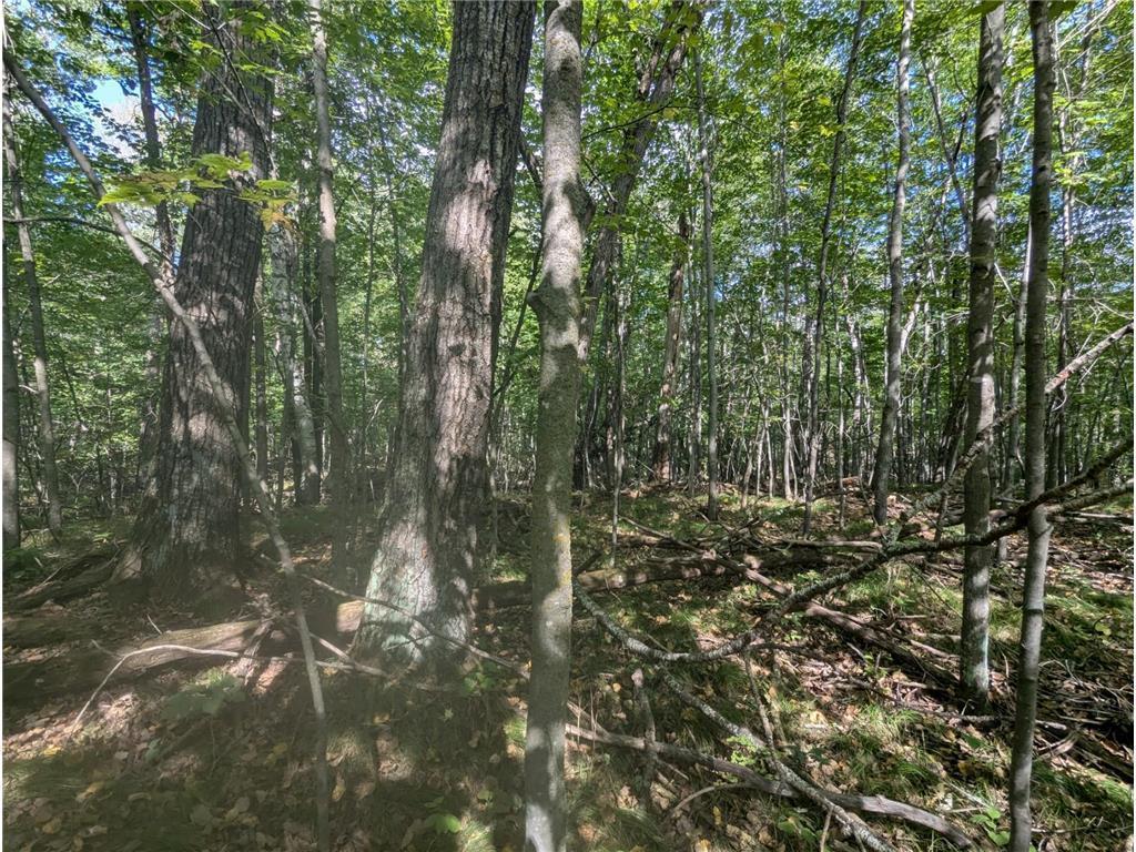 L23 B32 Shady Trail, Breezy Point MN 56472 - Photo 21 of 28