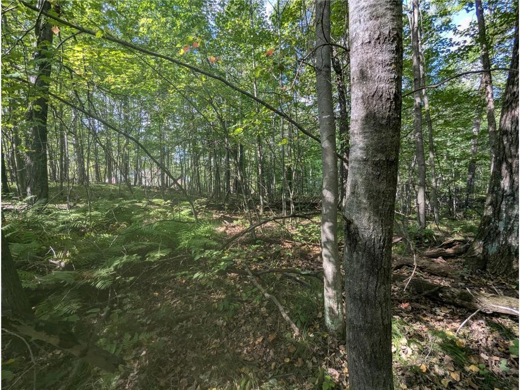 L23 B32 Shady Trail, Breezy Point MN 56472 - Photo 23 of 28
