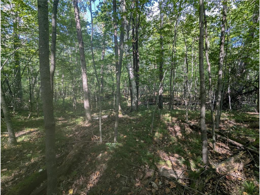 L23 B32 Shady Trail, Breezy Point MN 56472 - Photo 24 of 28