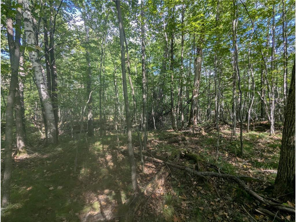 L23 B32 Shady Trail, Breezy Point MN 56472 - Photo 25 of 28