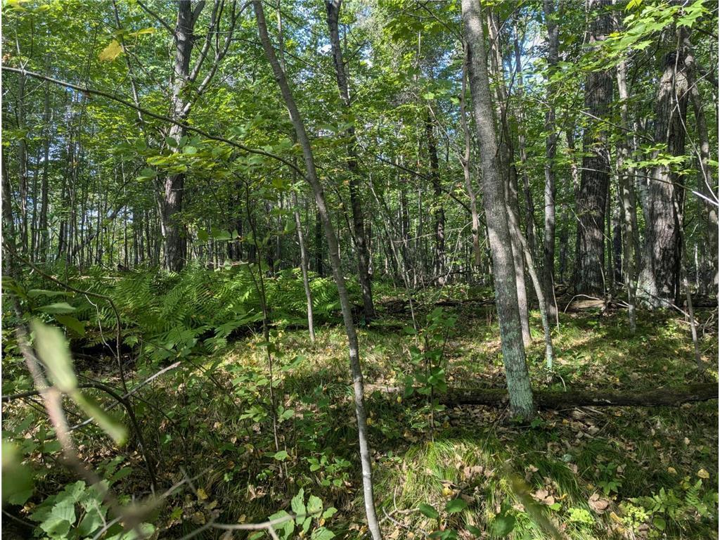 L23 B32 Shady Trail, Breezy Point MN 56472 - Photo 5 of 28