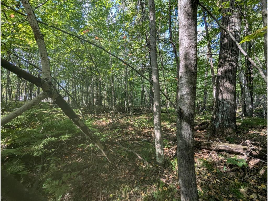 L23 B32 Shady Trail, Breezy Point MN 56472 - Photo 9 of 28