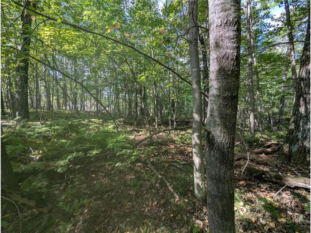 L23 B32 Shady Trail, Breezy Point MN 56472 - Photo 10 of 28