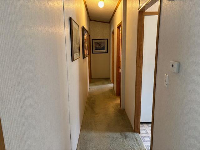 1997 single family home for sale at 7869 Lunar Lane in Pequot Lakes, MN — 3 bed, 2 bath (photo 16 of 27)