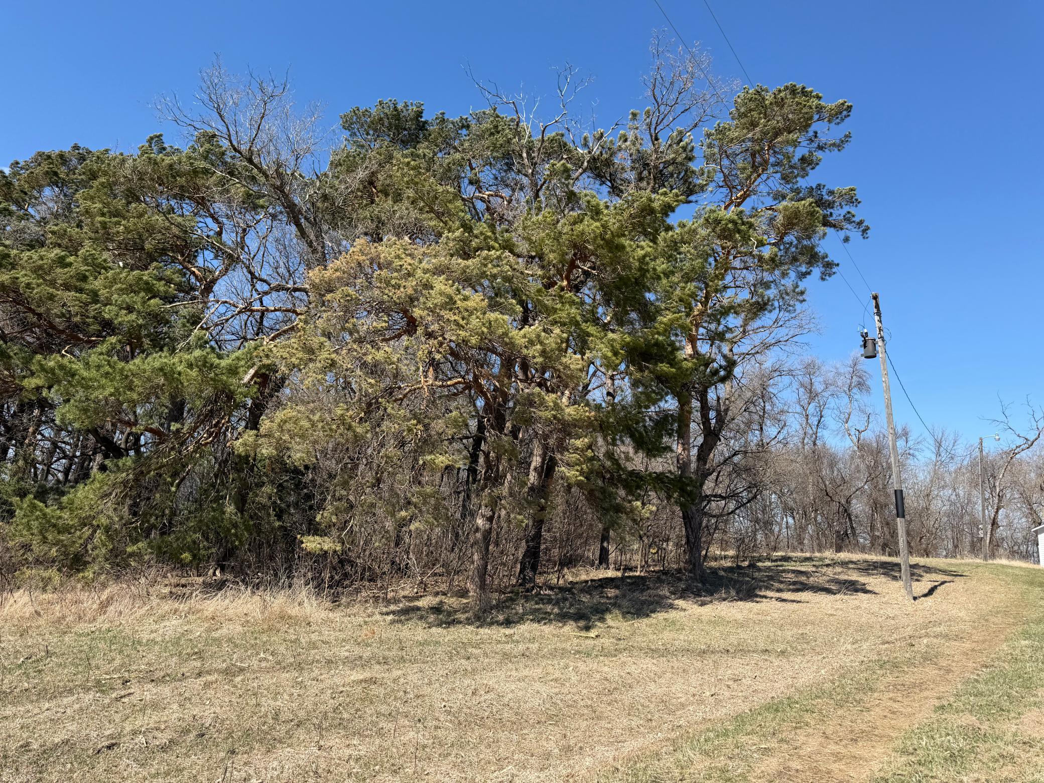 1950 land for sale at TBD 255th Street in Fergus Falls, MN (photo 15 of 48)