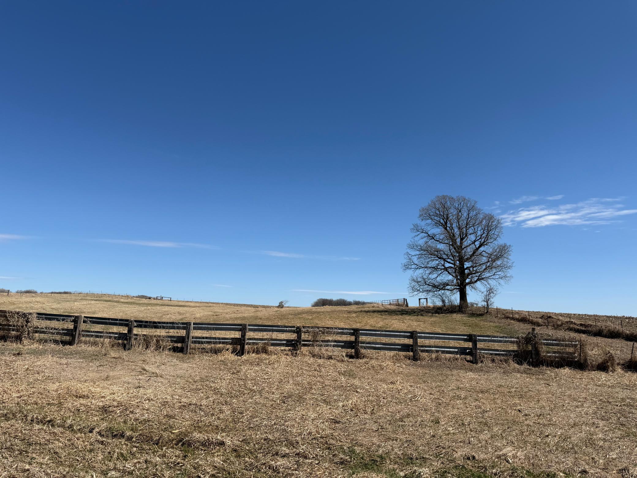 1950 land for sale at TBD 255th Street in Fergus Falls, MN (photo 19 of 48)