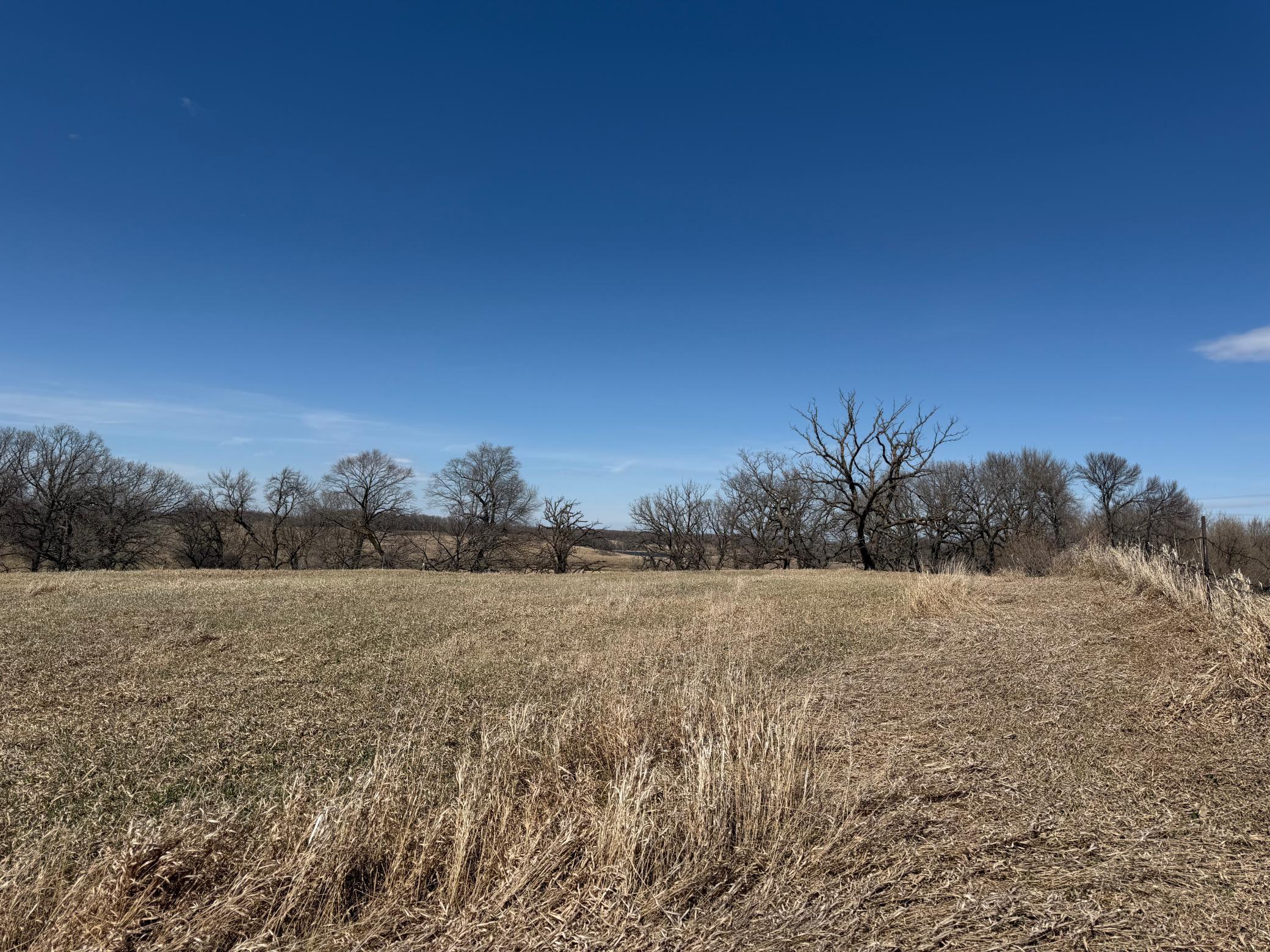 1950 land for sale at TBD 255th Street in Fergus Falls, MN (photo 28 of 48)