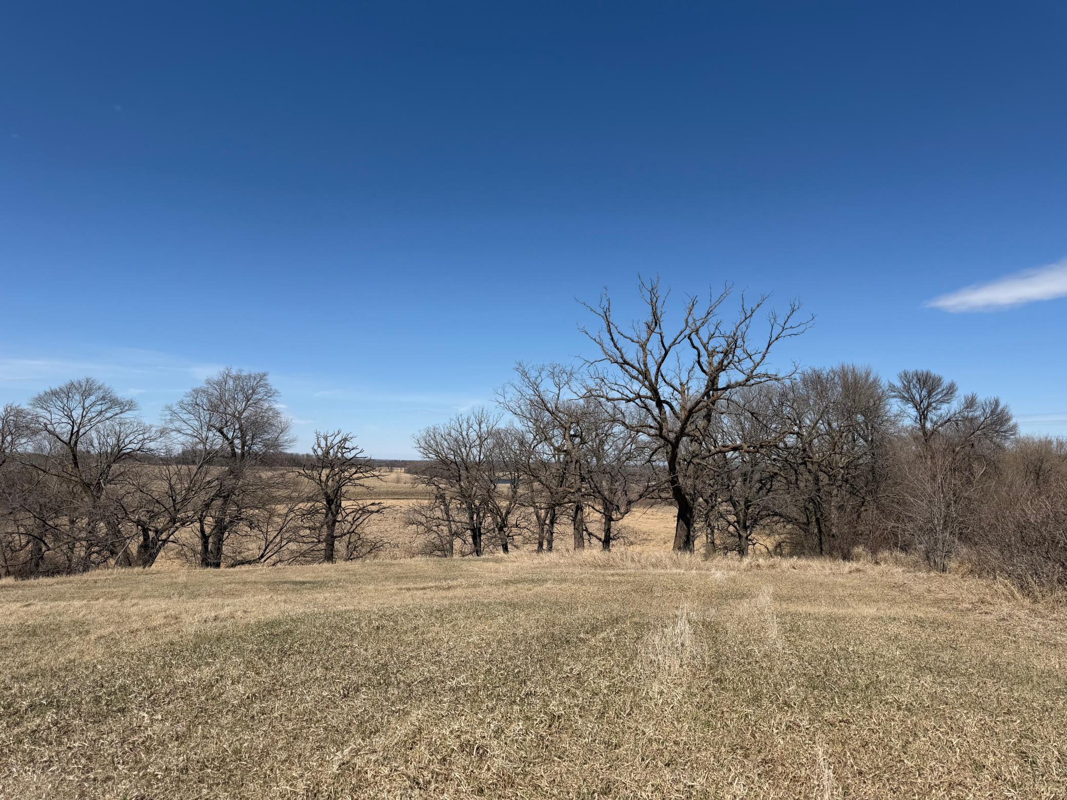 1950 land for sale at TBD 255th Street in Fergus Falls, MN (photo 30 of 48)