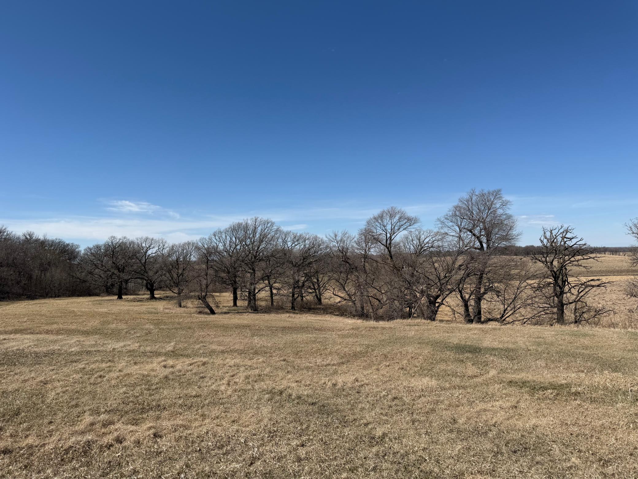 1950 land for sale at TBD 255th Street in Fergus Falls, MN (photo 31 of 48)