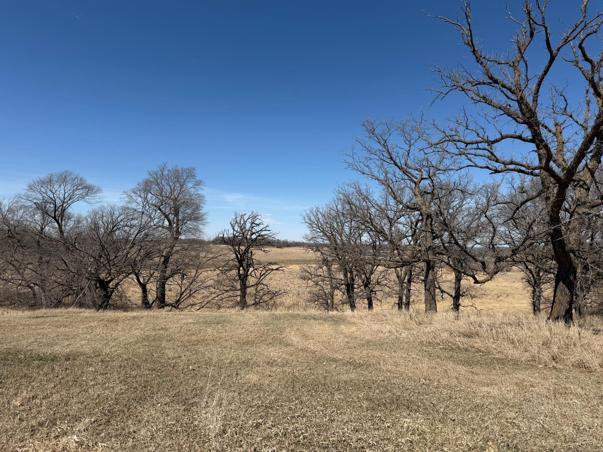 1950 land for sale at TBD 255th Street in Fergus Falls, MN (photo 32 of 48)