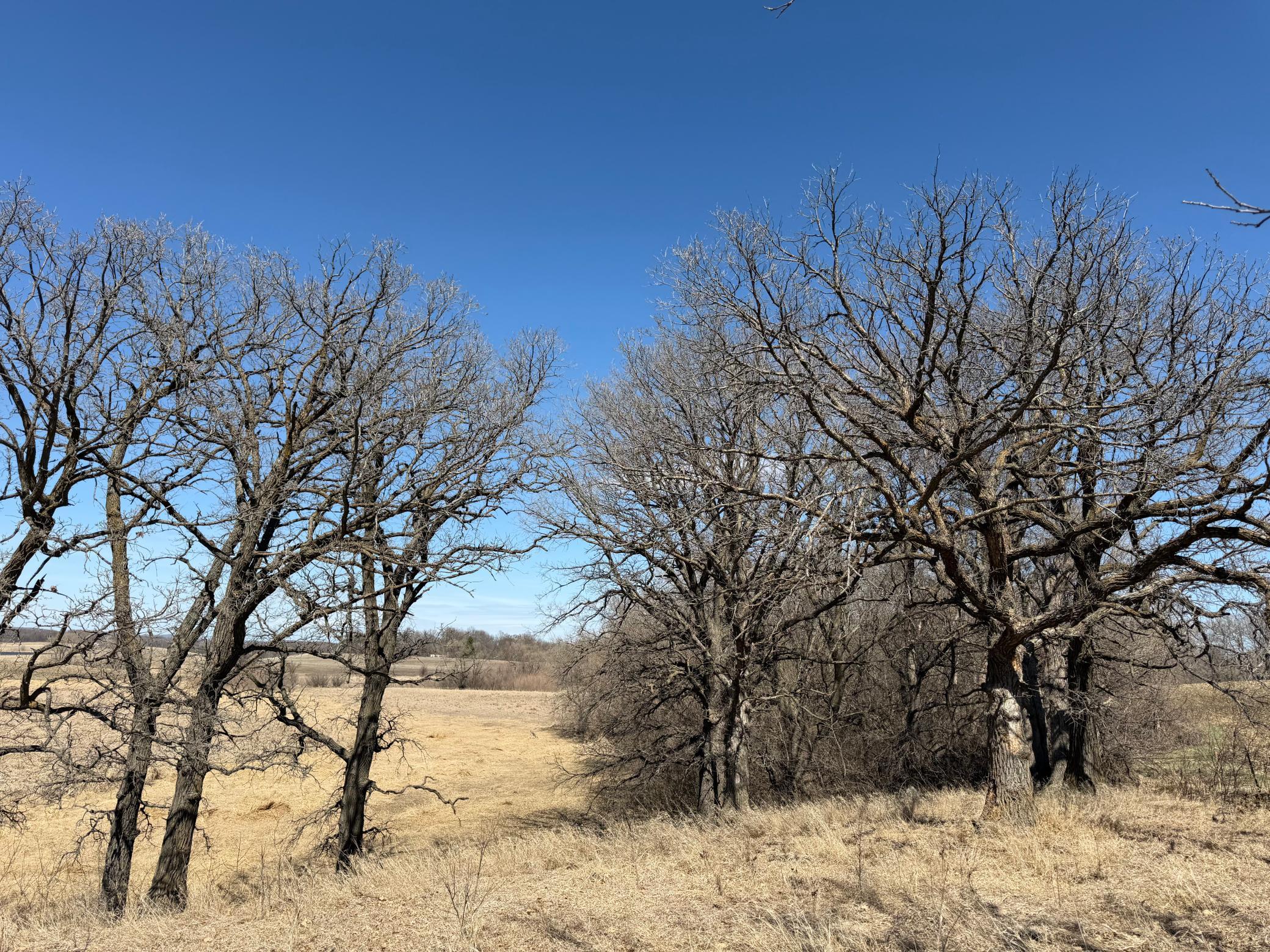 1950 land for sale at TBD 255th Street in Fergus Falls, MN (photo 33 of 48)