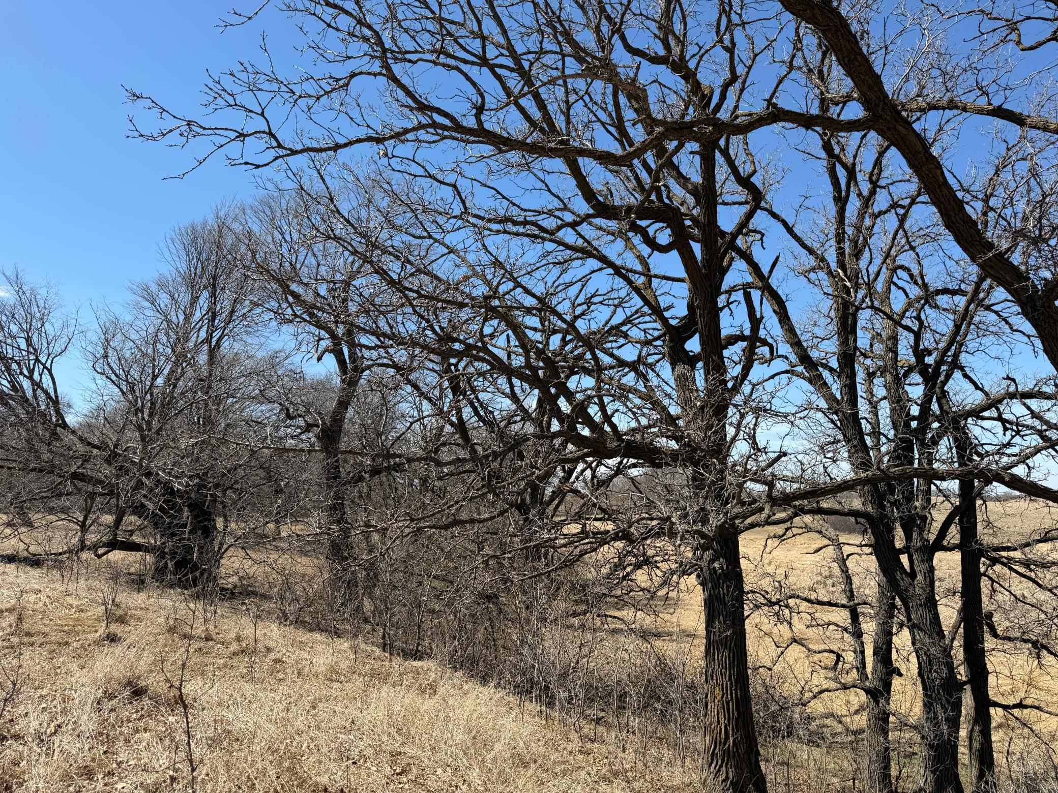 1950 land for sale at TBD 255th Street in Fergus Falls, MN (photo 34 of 48)