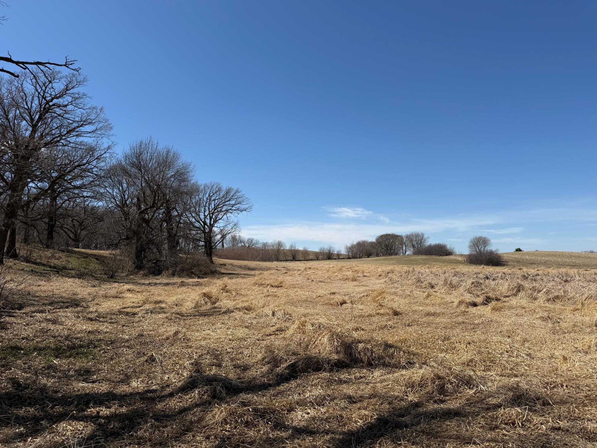 1950 land for sale at TBD 255th Street in Fergus Falls, MN (photo 36 of 48)