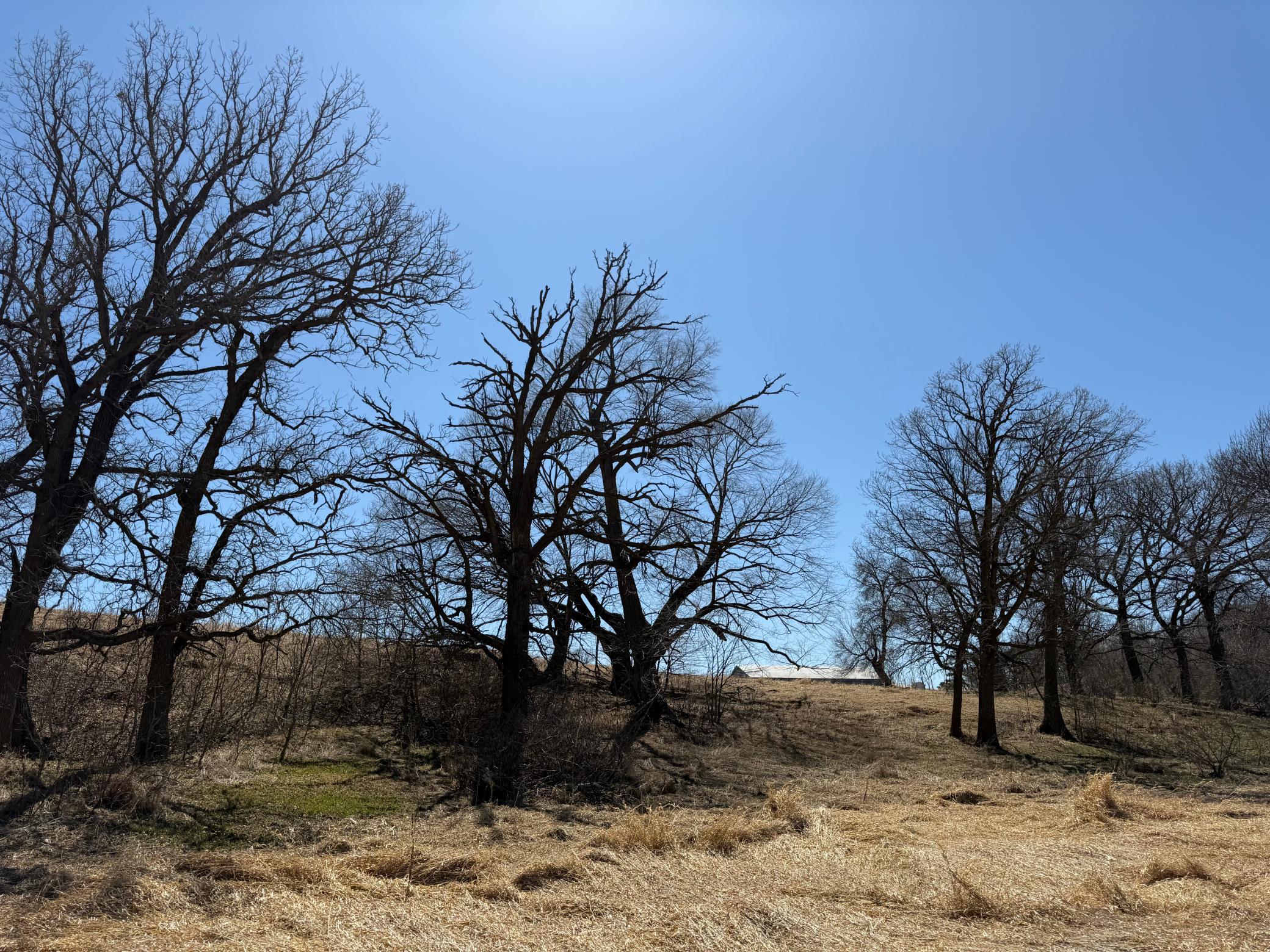 1950 land for sale at TBD 255th Street in Fergus Falls, MN (photo 37 of 48)