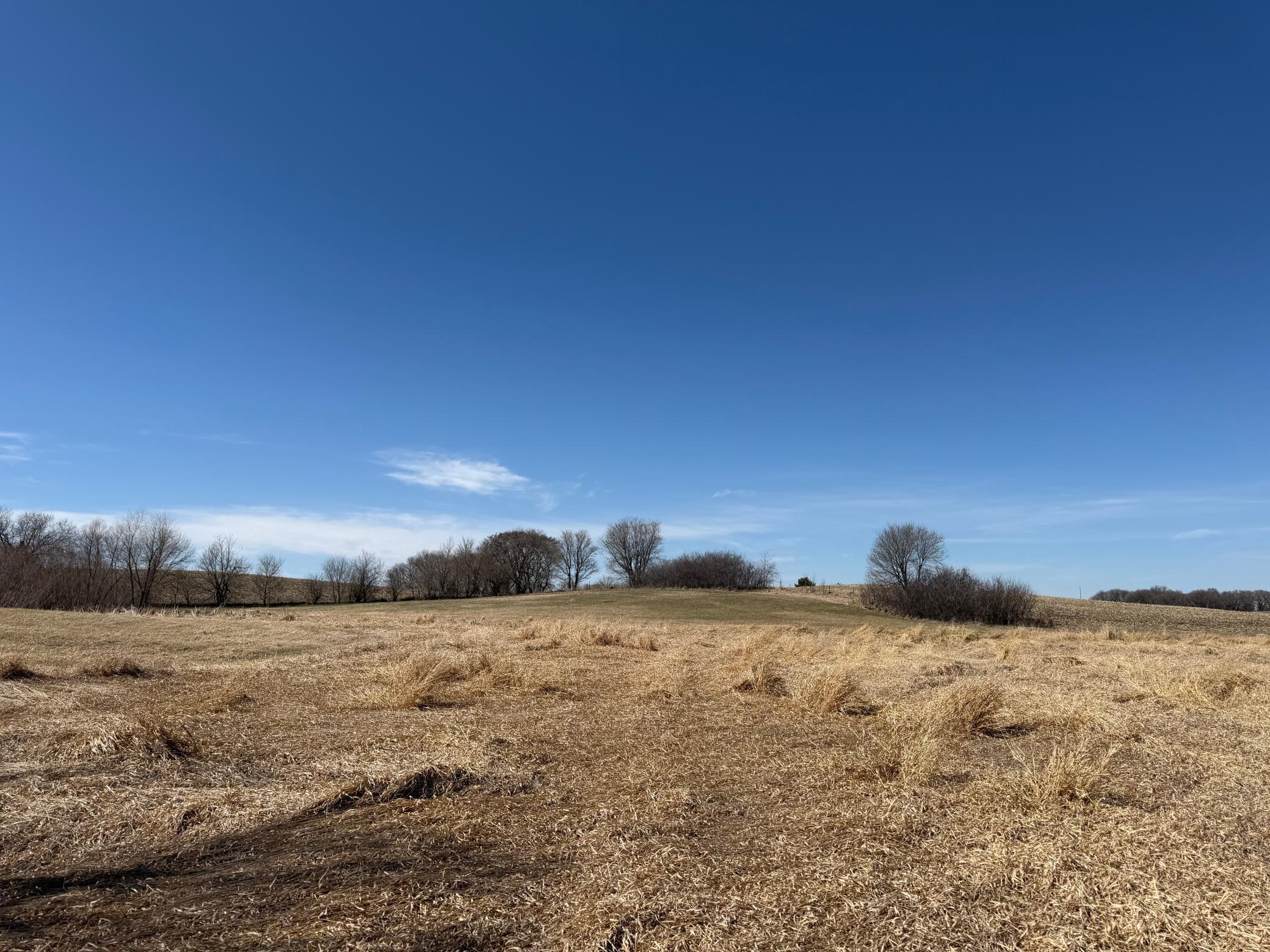 1950 land for sale at TBD 255th Street in Fergus Falls, MN (photo 38 of 48)