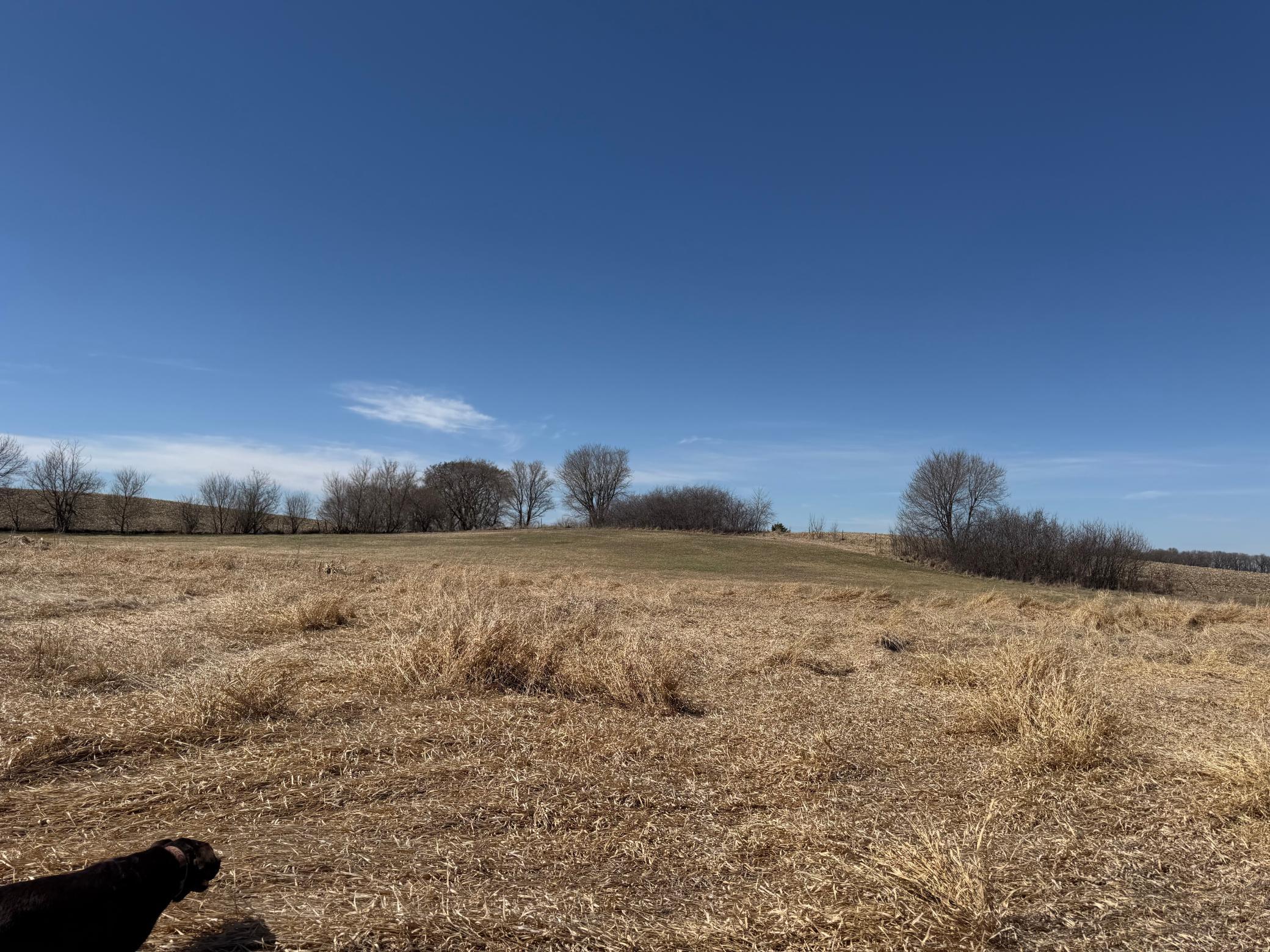 1950 land for sale at TBD 255th Street in Fergus Falls, MN (photo 39 of 48)