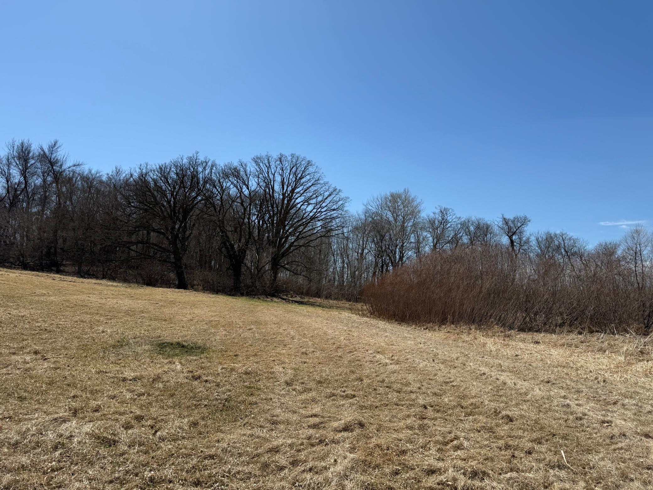1950 land for sale at TBD 255th Street in Fergus Falls, MN (photo 40 of 48)