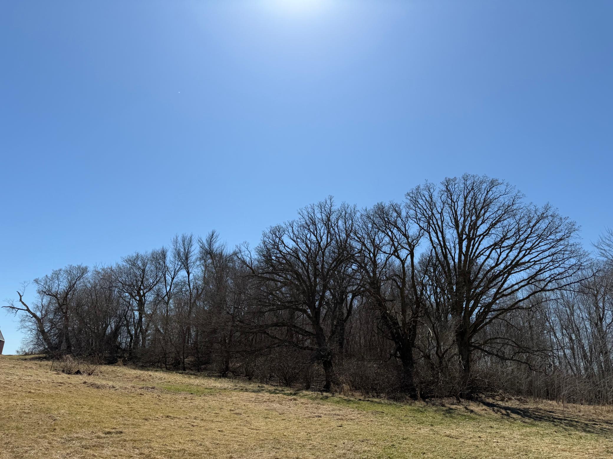 1950 land for sale at TBD 255th Street in Fergus Falls, MN (photo 41 of 48)
