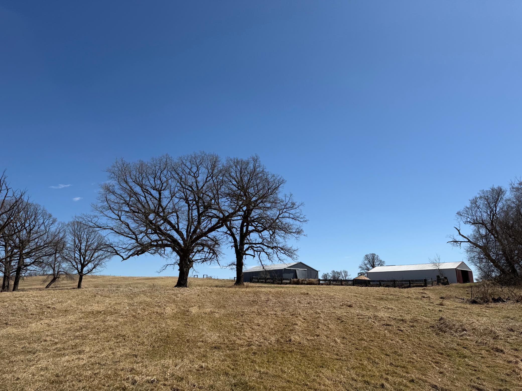 1950 land for sale at TBD 255th Street in Fergus Falls, MN (photo 42 of 48)