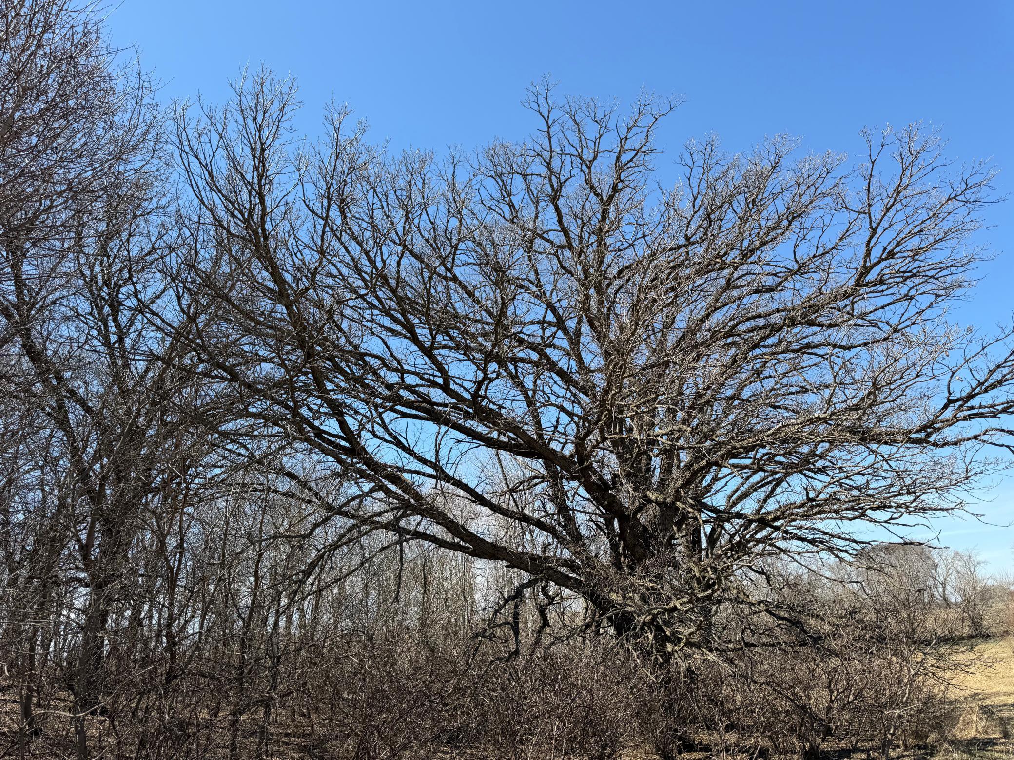 1950 land for sale at TBD 255th Street in Fergus Falls, MN (photo 43 of 48)