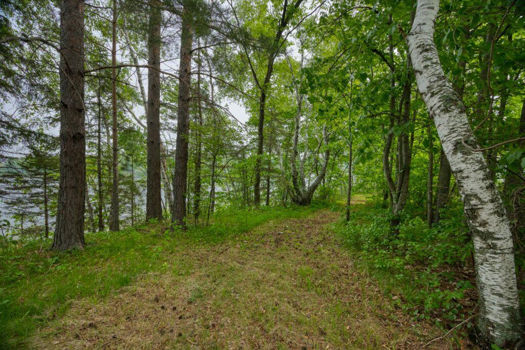 2000 single family home for sale at 30901 Sunny Beach Road in Grand Rapids, MN — 1 bed, 0 bath (photo 25 of 32)