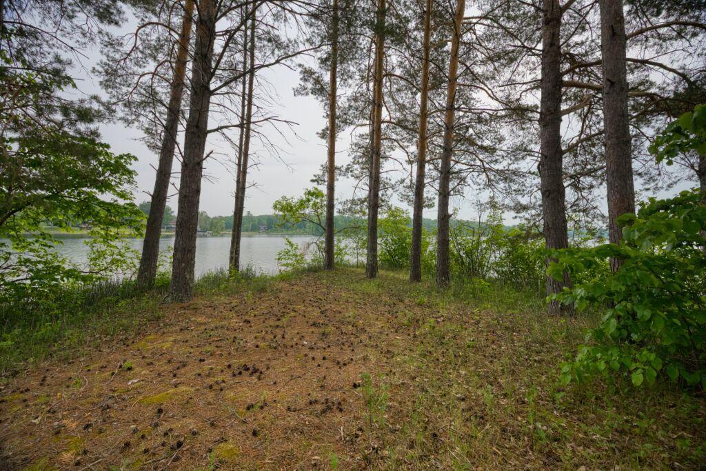 2000 single family home for sale at 30901 Sunny Beach Road in Grand Rapids, MN — 1 bed, 0 bath (photo 26 of 32)